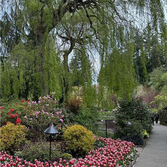 Meet your Posher, Ambassador J - Picture 2 of 9